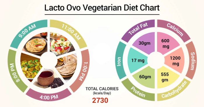 Lacto vegetarian diet plan