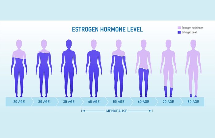 Menopause hormone therapy